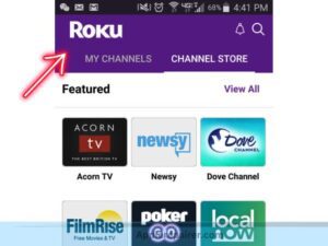 Install Roku Mobile App