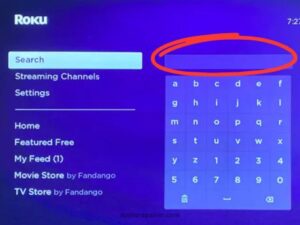 Search for the Roku Channel Store. (1)