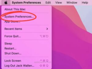 Select System Preferences